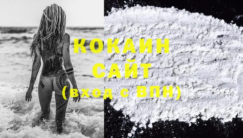 Cocaine Fish Scale  где продают наркотики  Пугачёв 